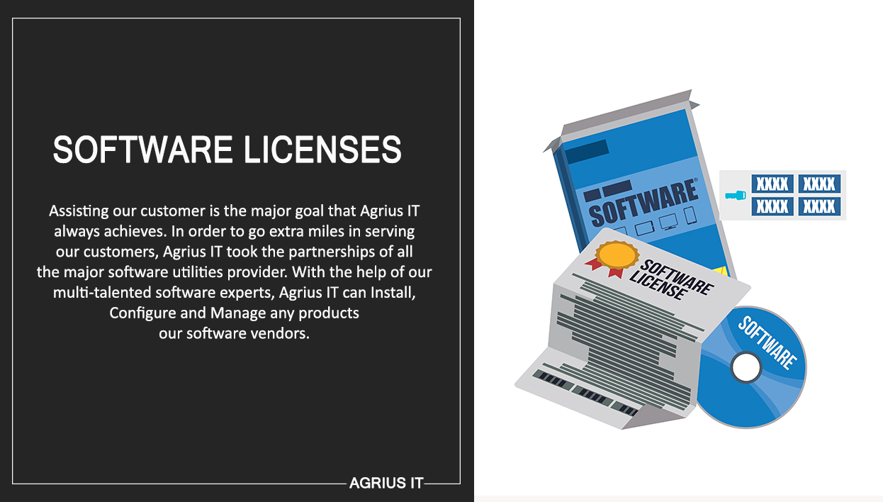 Software Licences